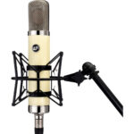 ⁦Warm Audio WA-251 Large-Diaphragm Tube Condenser Micropn⁩ - الصورة ⁦2⁩