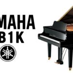 بيانو ياماها GB1K PE جراند مع مقعد